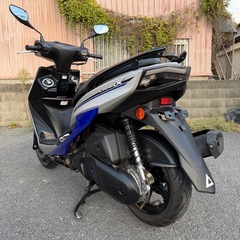 ヤマハ　シグナスX 国内4型後期　SED8J 動画あり　大阪の画像