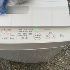 洗濯機 8kg 配送無料 東芝 2024年 美品 TOSHIBA 8キロ 8.0kgの画像