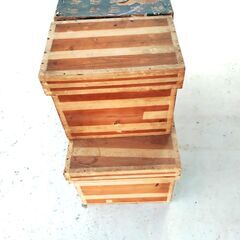 茶箱 5個セットの画像