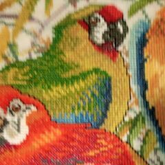 刺繍絵画　インコ　一般人作　６０ｃｍｘ４４ｃｍの画像