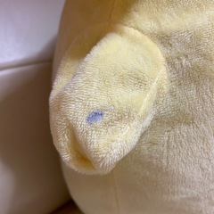 ぬいぐるみの画像