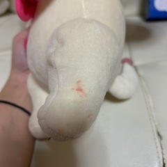 ぬいぐるみの画像