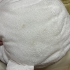ぬいぐるみの画像