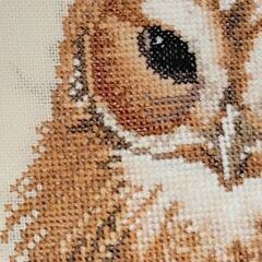 刺繍絵画　フクロウ　一般人作　５４ｃｍｘ４２ｃｍの画像