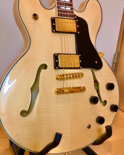 Playtech セミアコ sa500