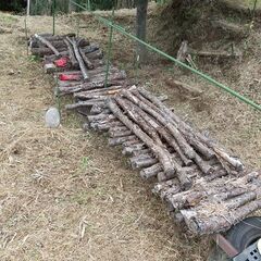 ★★薪（焚き木）用材／広葉樹『数年間、きのこ栽培で使用した、駒打原木の古材です』★★の画像