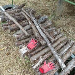 ★★薪（焚き木）用材／広葉樹『数年間、きのこ栽培で使用した、駒打原木の古材です』★★の画像