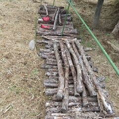 ★★薪（焚き木）用材／広葉樹『数年間、きのこ栽培で使用した、駒打原木の古材です』★★の画像