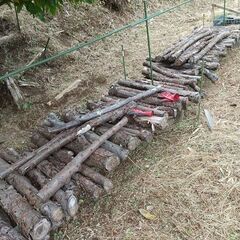 ★★薪（焚き木）用材／広葉樹『数年間、きのこ栽培で使用した、駒打原木の古材です』★★の画像