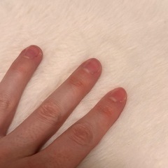 ニトリ　白　ラグ　カーペット　の画像