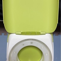 アップリカニオイぽいの画像