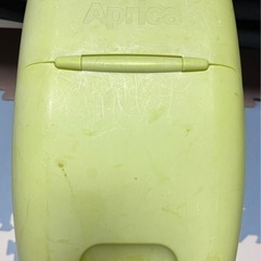 アップリカニオイぽいの画像