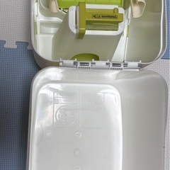 アップリカニオイぽいの画像