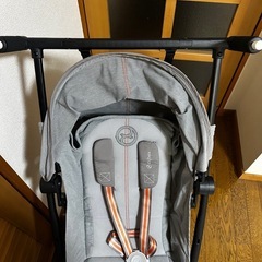 サイベックス　リベル　ラバグレーの画像