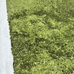 【受渡し決まりました】ラグの画像