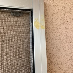 府営住宅で使用していた網戸2まい枚の画像