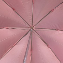 Private Label 長傘 レディースの画像