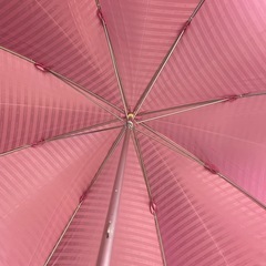 ★未使用★Pinky&Dianne長傘‪‪‪‪ レディースの画像