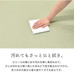 い草みたいなPPラグマットの画像