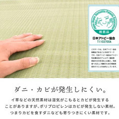 い草みたいなPPラグマットの画像