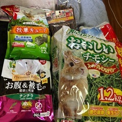 チンチラの餌などの画像