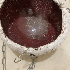 フワラーハンギング / 鉢植え / プランターの画像