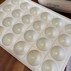 ［お取引中］　アイリスオーヤマ　ricopa 2way ホットプレートの画像