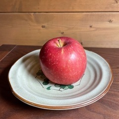 レトロなお皿　5枚セットの画像