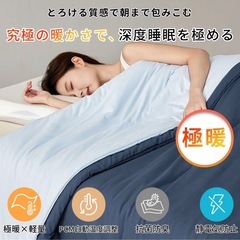 新品 定価4万5800円 掛け布団 セミダブルの画像