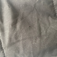 ダウンジャケットの画像