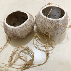 ココナッツプランター / バンキングタイプ / ２個セットの画像