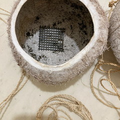 ココナッツプランター / バンキングタイプ / ２個セットの画像