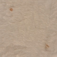 洗えるラグ【アイボリー】ニトリ　カーペット の画像