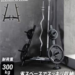 リーディングエッジ　プレートラック　28mmの画像