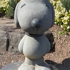 50代女子だけのグルチャ 💕︎💕︎