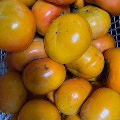 日用品や食品の交換できます。柿の画像