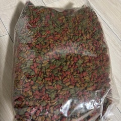 DCM ねこのごはん【チキン・かつお・まぐろ味/野菜入り】6Kgの画像