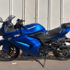 【動画あり】ニンジャ250R EX250K ETC付きフェンダーレスの画像