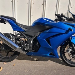 【動画あり】ニンジャ250R EX250K ETC付きフェンダーレスの画像