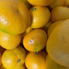 日用品や食品の交換できます。みかん🍊の画像