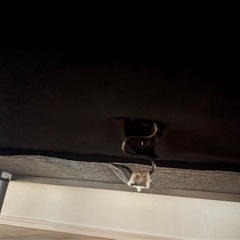 シングルベッド&ソファーの画像