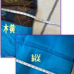 ❤️断捨離早い者勝ち　コールマンColeman キッズ用シュラフ　キャンプ　の画像