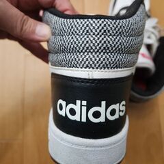 adidas　スニーカー(レディース)の画像