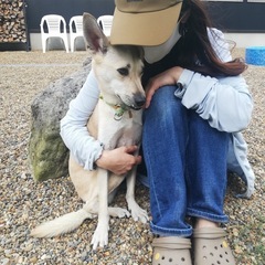 【2週間限定】無料で恋愛相談🥰