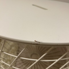 テーブルの画像