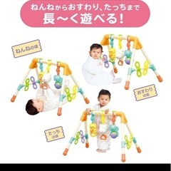 ローヤル べビーズFunFunジム (滑りにくい/指遊び/つかまり立ち) ベビージム   赤ちゃん 音が鳴る プレイジムの画像