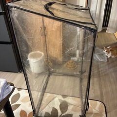 ※成約済み　園芸用ビニールハウスの画像