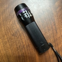 ミニ懐中電灯🔦　　訳ありの画像