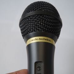 カラオケに使用したマイク２本です。の画像