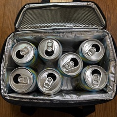クーラーバッグ
の画像